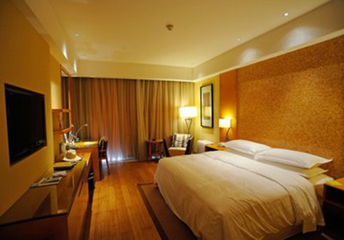 演讲嘉宾陈妙林 中国旅游协会副会长、开元旅业集团董事长