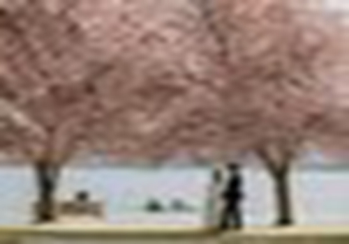 酒店经营遇到资金周转困难怎么办？