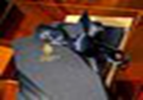 同佛山保利洲际酒店一齐橙色出行　　　　　　　　　　　　　　　　　　　　　总经理带领酒店员工低碳环保行